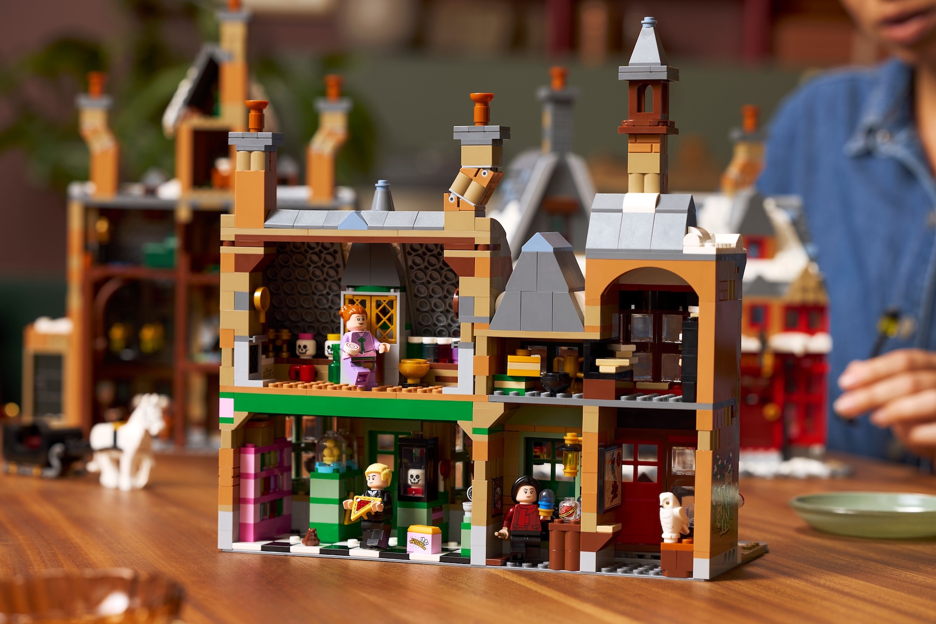 Details for the set LEGO® 76457 Hogsmeade Village Collectors’ Edition
