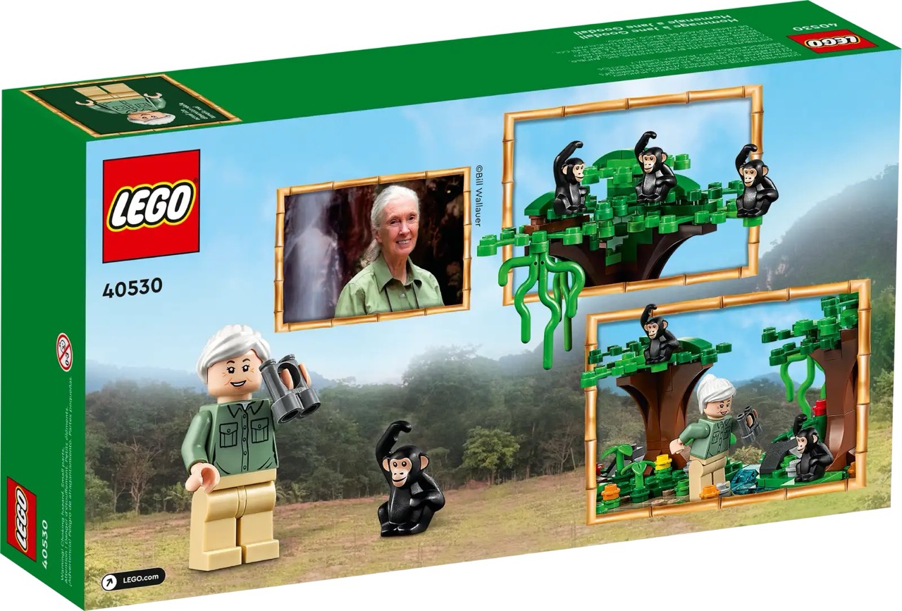 Jane Goodall Passes Away at 91 Her Science and LEGO® Legacy Remain