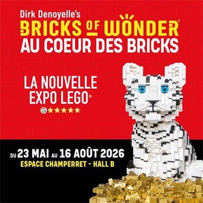Bricks of Wonder