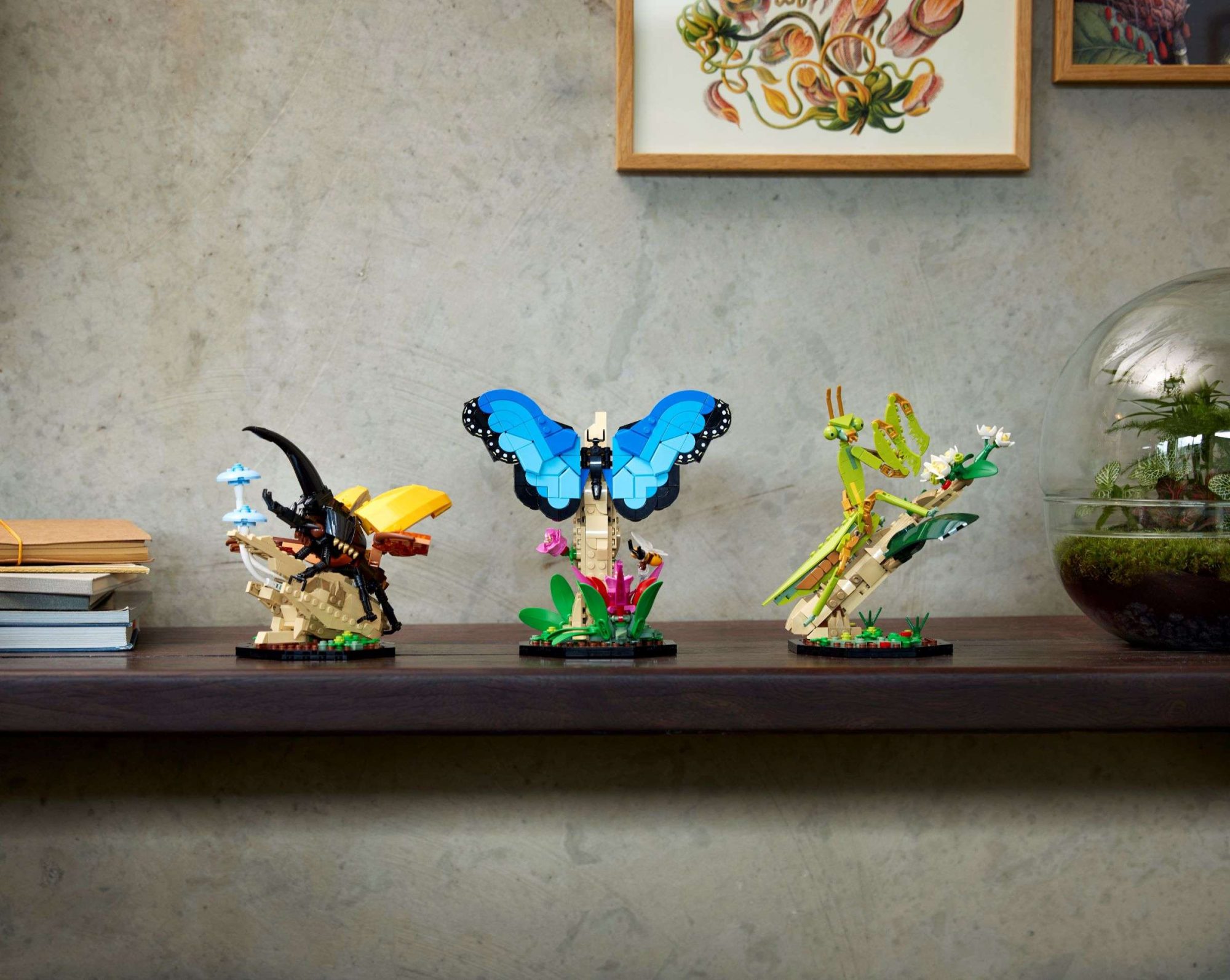 LEGO Ideas Launches 50th Set: "The Insect Collection"