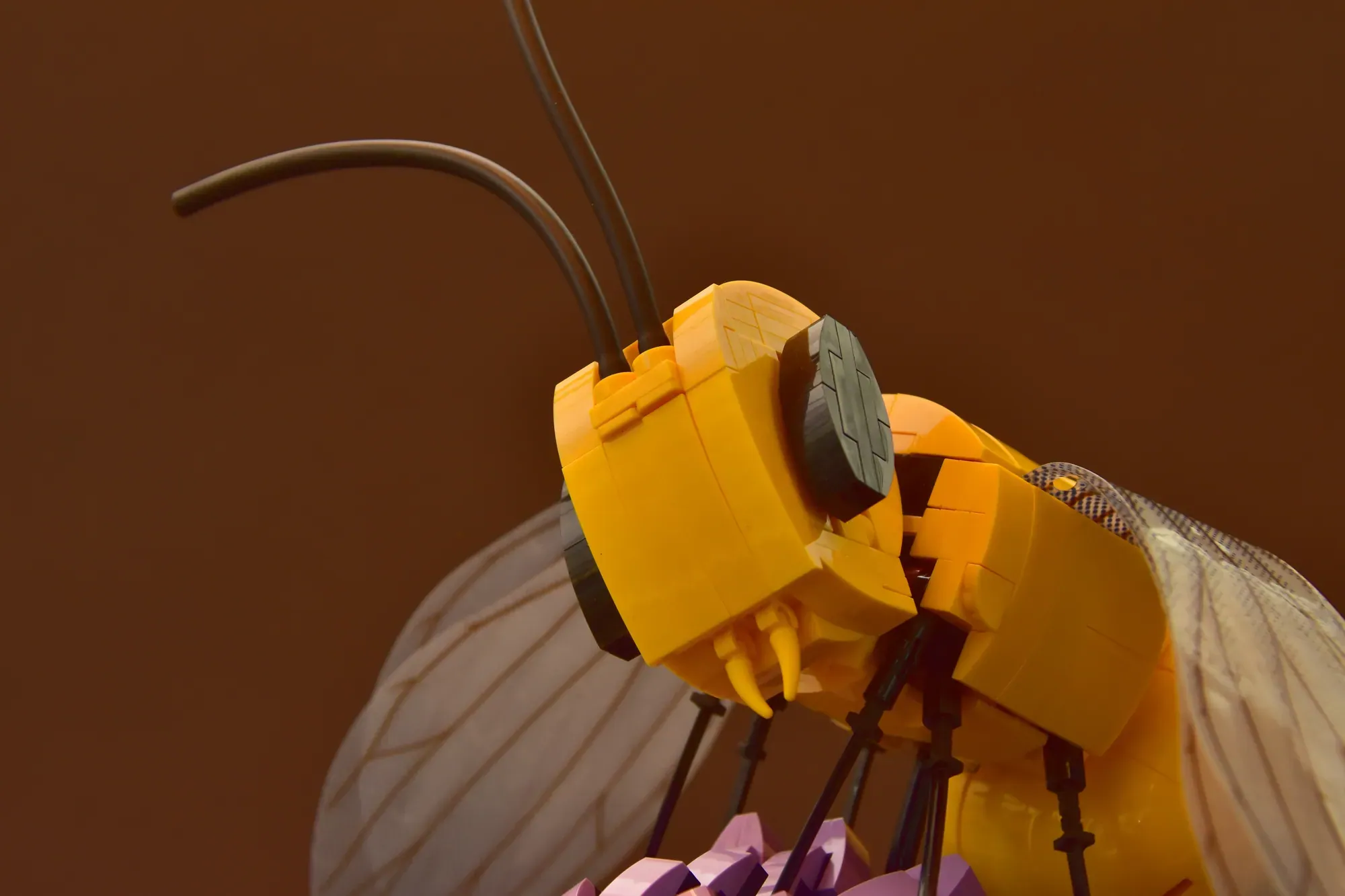 LEGO® Ideas Amazing Bee Project Buzzes with 3k Supporters — lego ideas amazing bee project buzzes with 81k supporters img …
