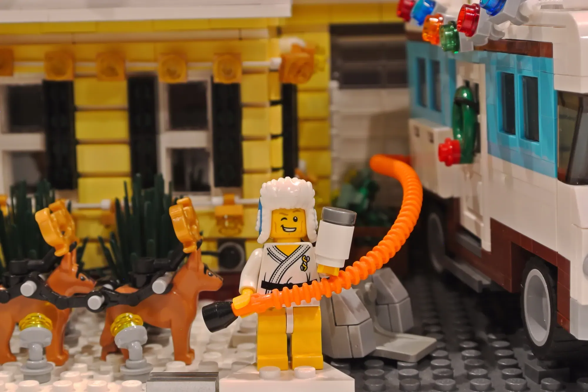 LEGO minifigure with white hair holding orange snake in front of yellow and turquoise house set with dogs.