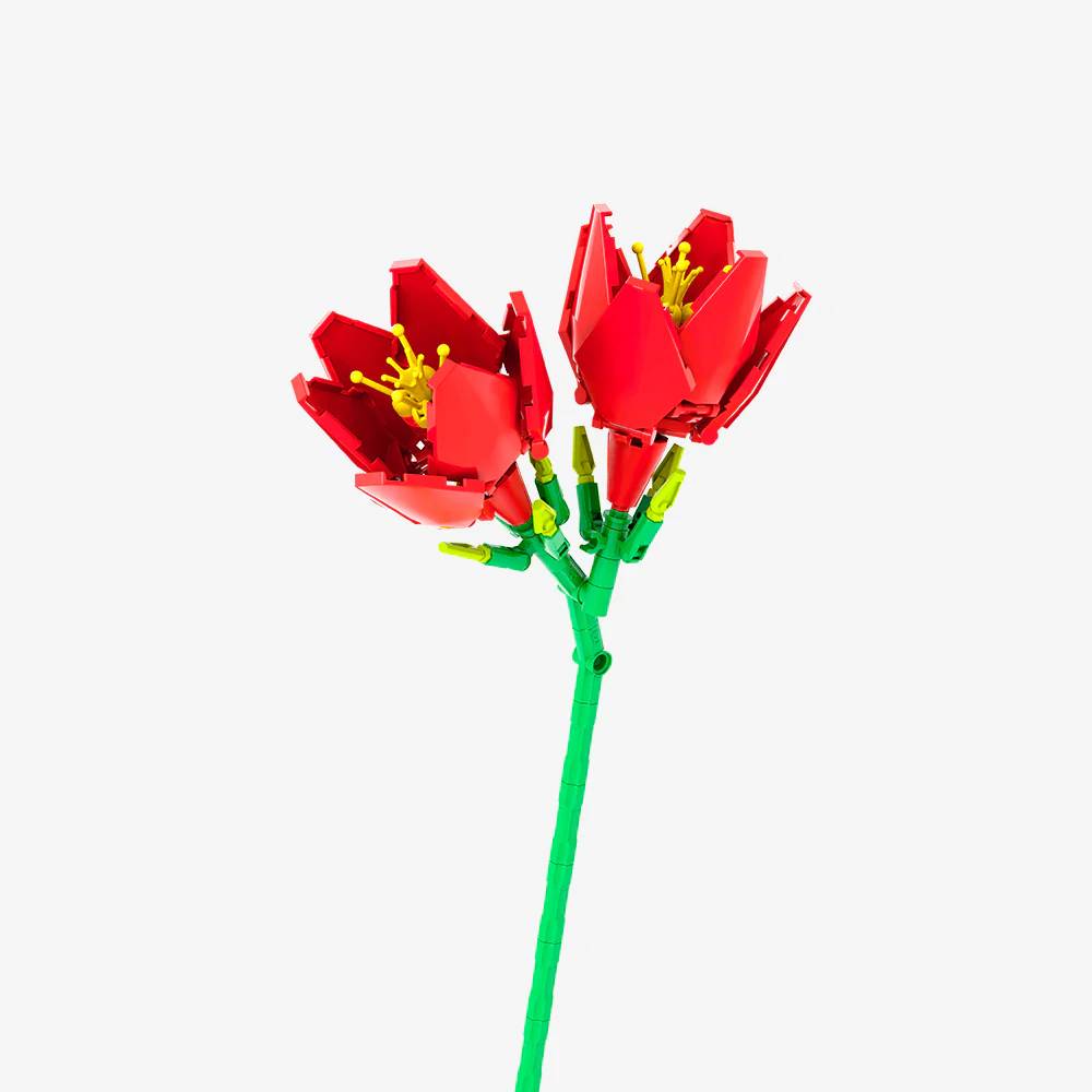 Red Freesia