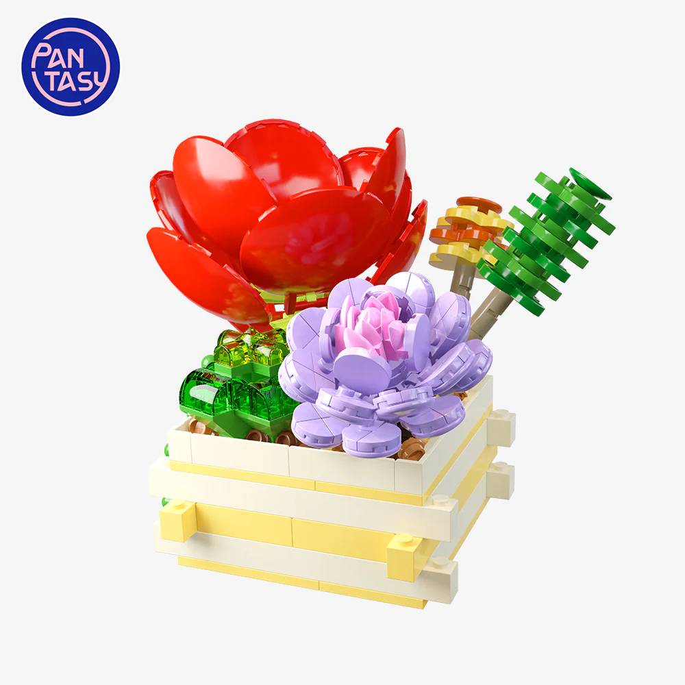 Succulent Garden Scarlet Whisper