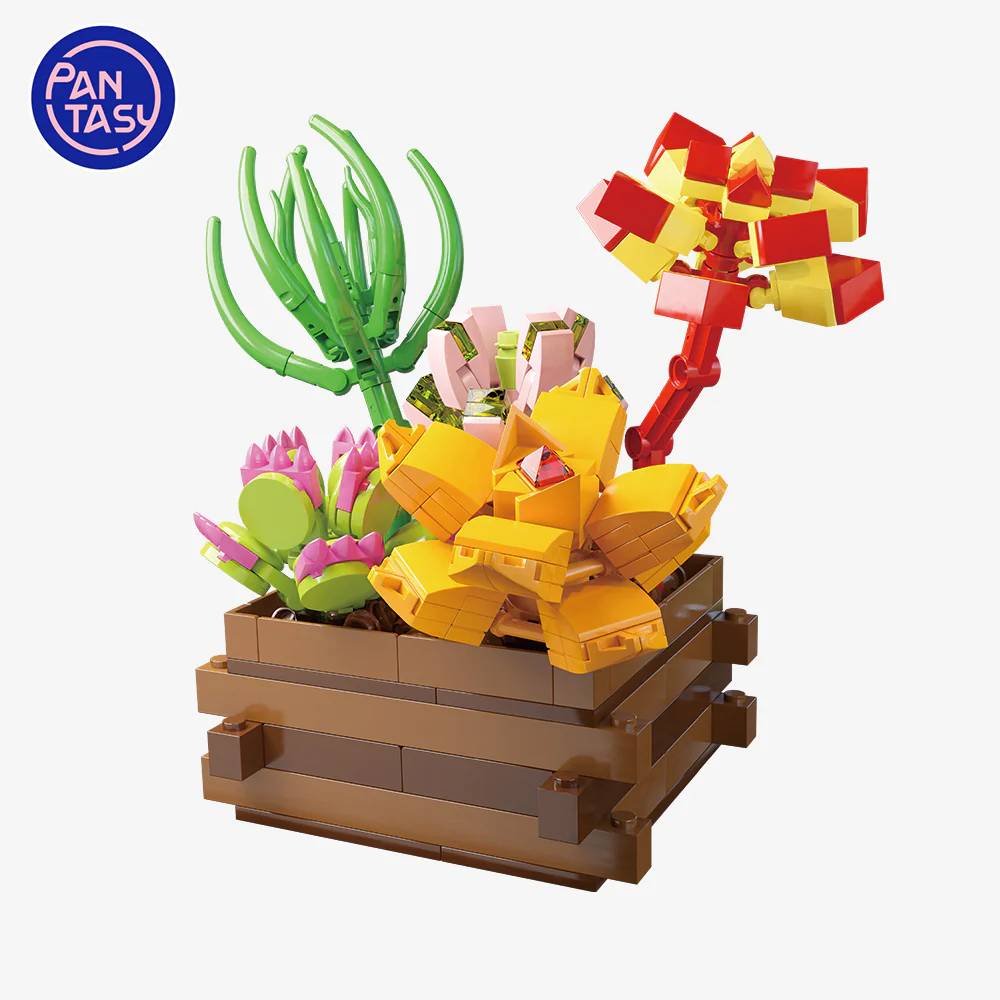 Succulent Garden Summer Dew