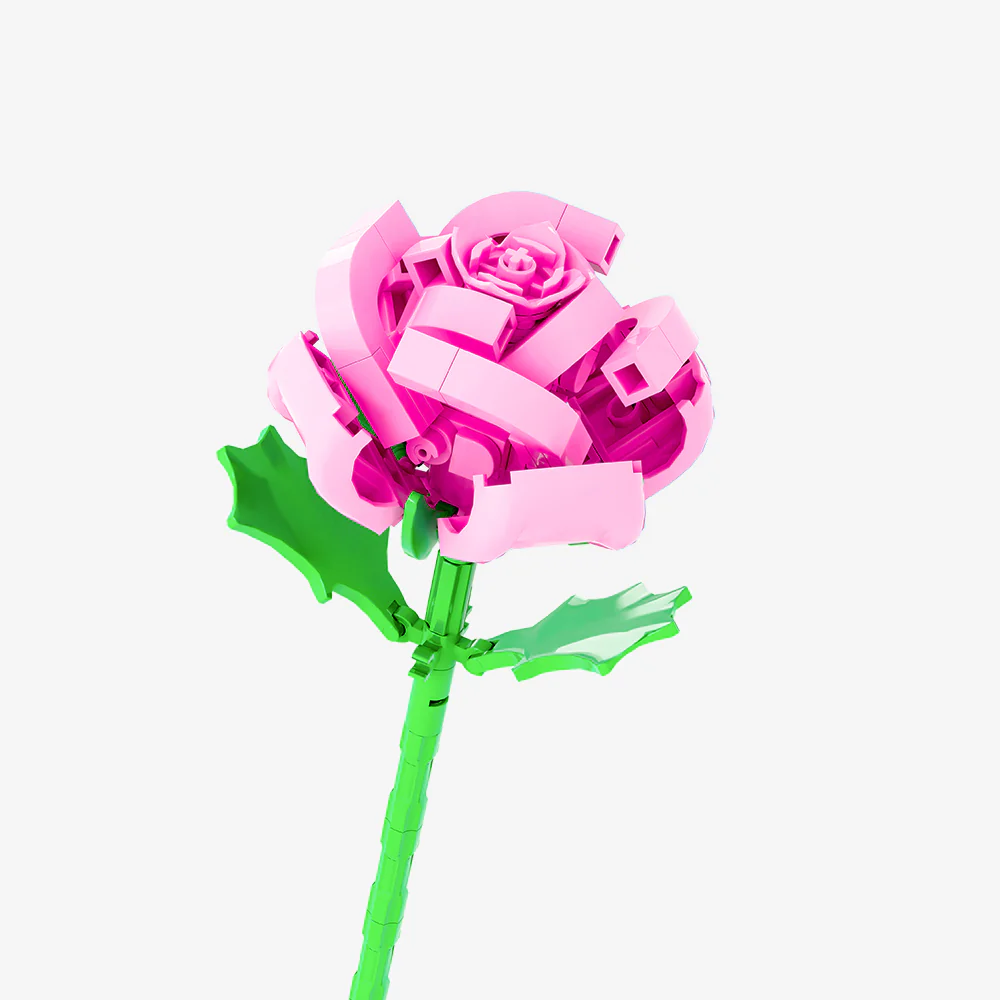 Pink Rose